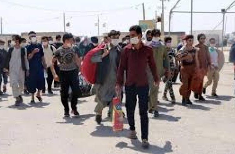 ۵۰ درصد از اتباع غیرمجاز کشور، در تهران هستند ۵۰ درصد از اتباع غیرمجاز کشور، در تهران هستند