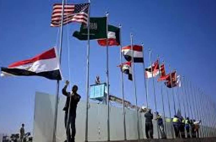 فرجی‌راد: باید سعی می‌کردیم در سطح پایین‌تری در اجلاس شرکت کنیم