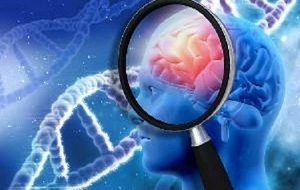 علت جدید بیماری آلزایمر مشخص شد