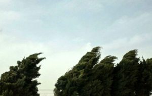 وزش باد شدید در تهران / احتمال سقوط بهمن در ارتفاعات